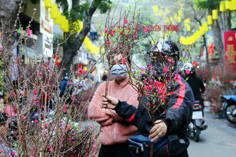 Hà Nội tổ chức 78 điểm chợ hoa Xuân dịp Tết 2022 - ảnh 1