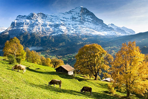 Lạc vào miền cổ tích với 6 ngôi làng đẹp nhất Thụy Sĩ - ảnh 2