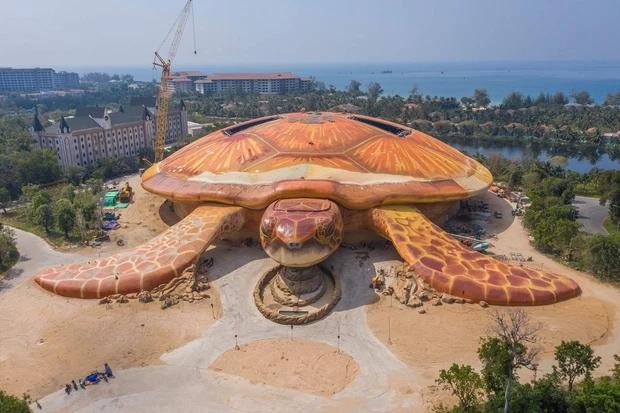 Thêm loạt ảnh về chú rùa khổng lồ đang gây náo loạn Phú Quốc - ảnh 5