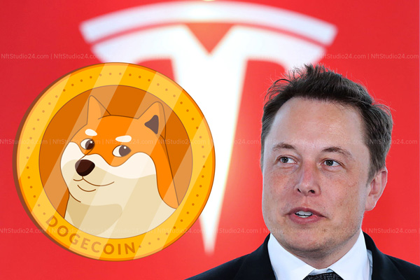 Tesla chính thức cho phép thanh toán một số sản phẩm của mình bằng Dogecoin - ảnh 1