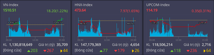 Bán tháo cổ phiếu đầu cơ, VN-Index vẫn tăng 18,2 điểm nhờ dòng tài chính và bluechips - ảnh 2