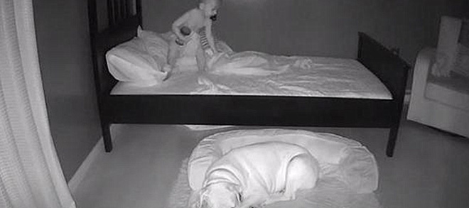 Sáng nào cũng thấy con trai ngủ trong ổ chó, bố mẹ bí mật đặt camera ngay trong phòng thì phát hiện sự thật ngã ngửa - ảnh 2