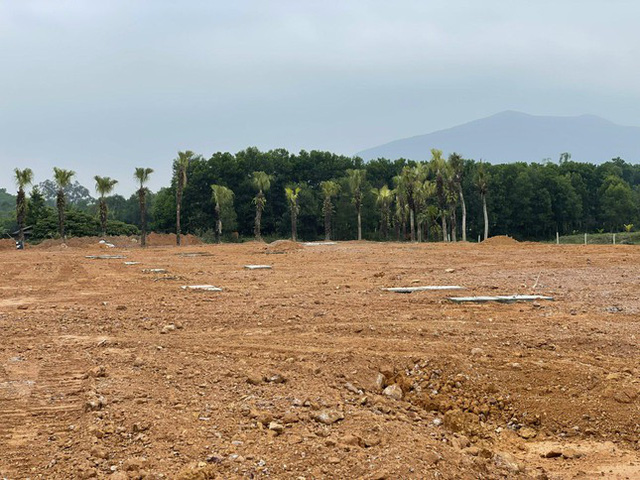 Thực hư khu đất gắn mác dự án phân lô bán nền rầm rộ ở Thanh Hóa - ảnh 1