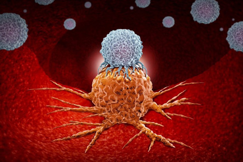 Tế bào ung thư mạnh hơn tế bào thường: 5 sai lầm có thể ảnh hưởng tính mạng người bệnh - ảnh 1