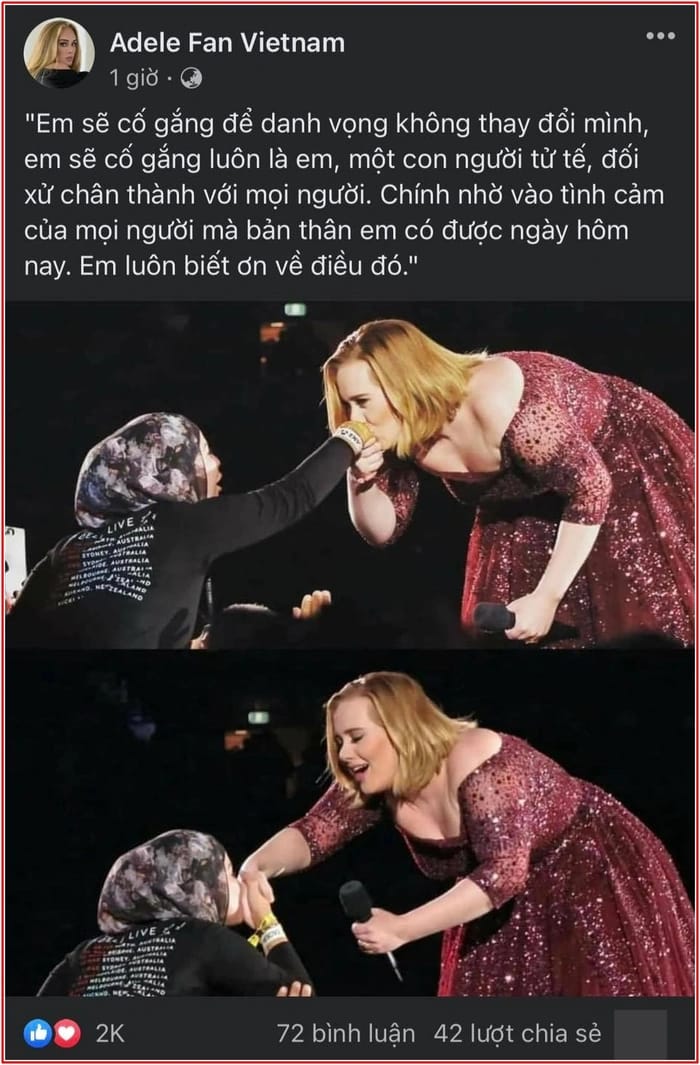 Loạt fandom nghệ sĩ US-UK Adele, Katy Perry,… tại Việt Nam đăng đàn mỉa mai Đông Nhi - ảnh 3