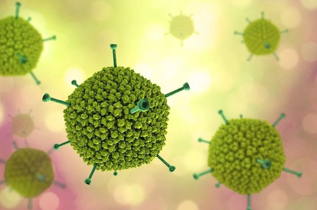 Adenovirus - kẻ tình nghi đứng sau bệnh viêm gan cấp tính ở trẻ em đang khiến thế giới chao đảo - ảnh 3