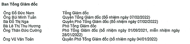Chứng khoán Trí Việt bổ nhiệm Tổng Giám đốc thay ông Đỗ Đức Nam - ảnh 1
