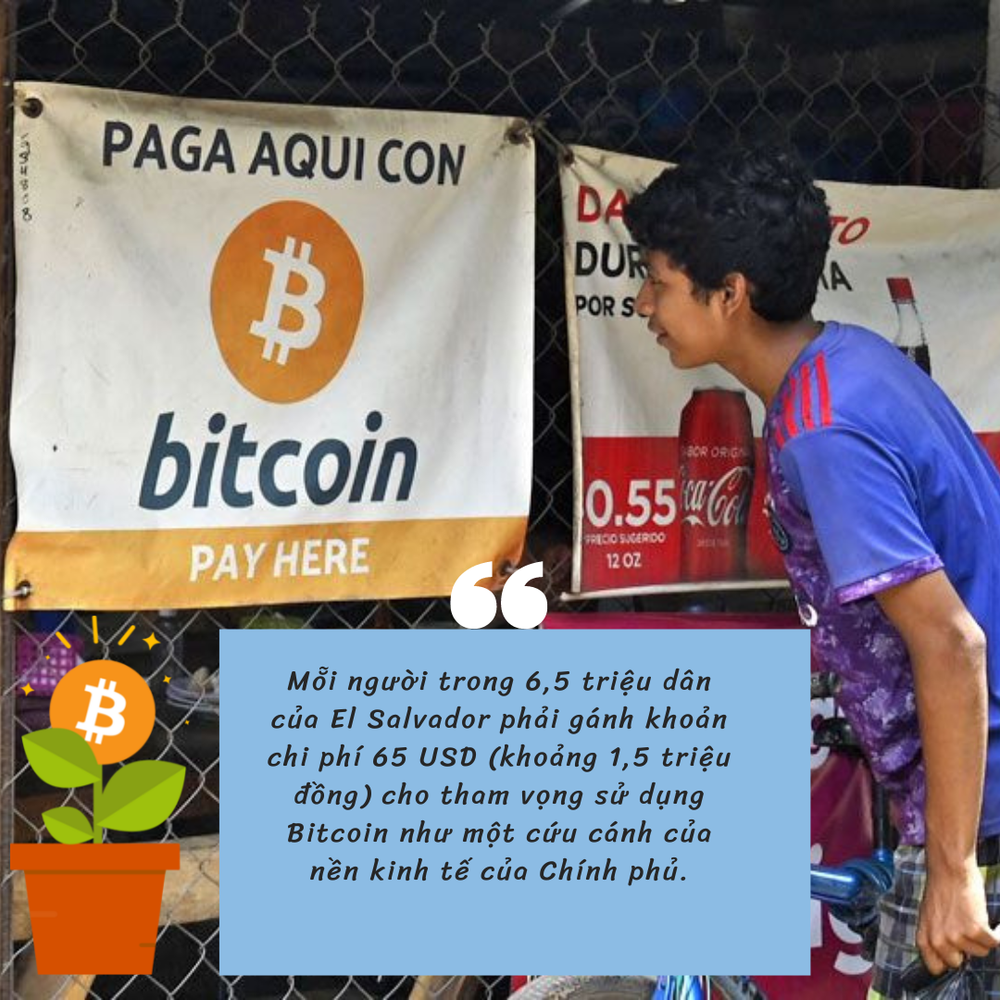 Tổng thống mang gần nửa tỷ USD quốc khố đặt vào ''canh bạc'' Bitcoin, mỗi người dân El Salvador phải ''gánh'' bao nhiêu tiền? - ảnh 1