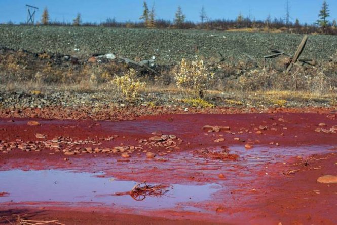Dòng sông Nga chuyển màu đỏ như máu - ảnh 2