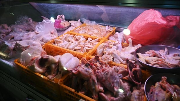 Singapore cấp phép để nhập khẩu thịt gà từ Indonesia - ảnh 1