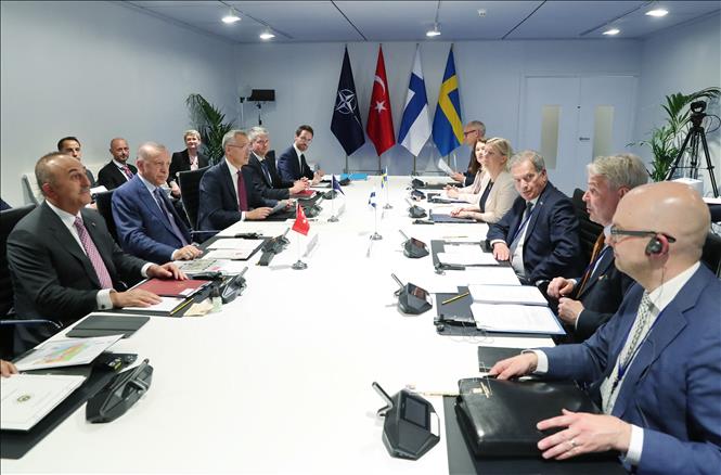 Thổ Nhĩ Kỳ kêu gọi Phần Lan, Thụy Điển hoàn thành cam kết gia nhập NATO - ảnh 1