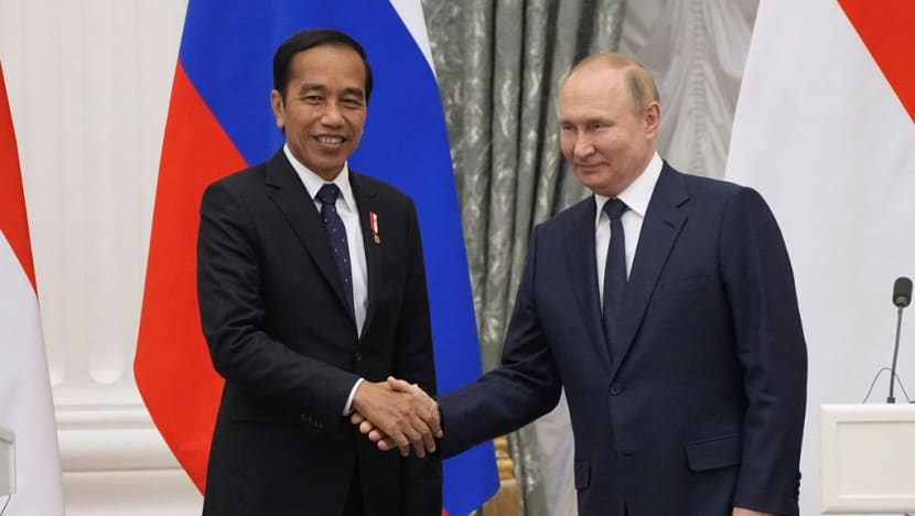 Gặp ông Putin, Tổng thống Indonesia chuyển thông điệp của ông Zelensky - ảnh 1