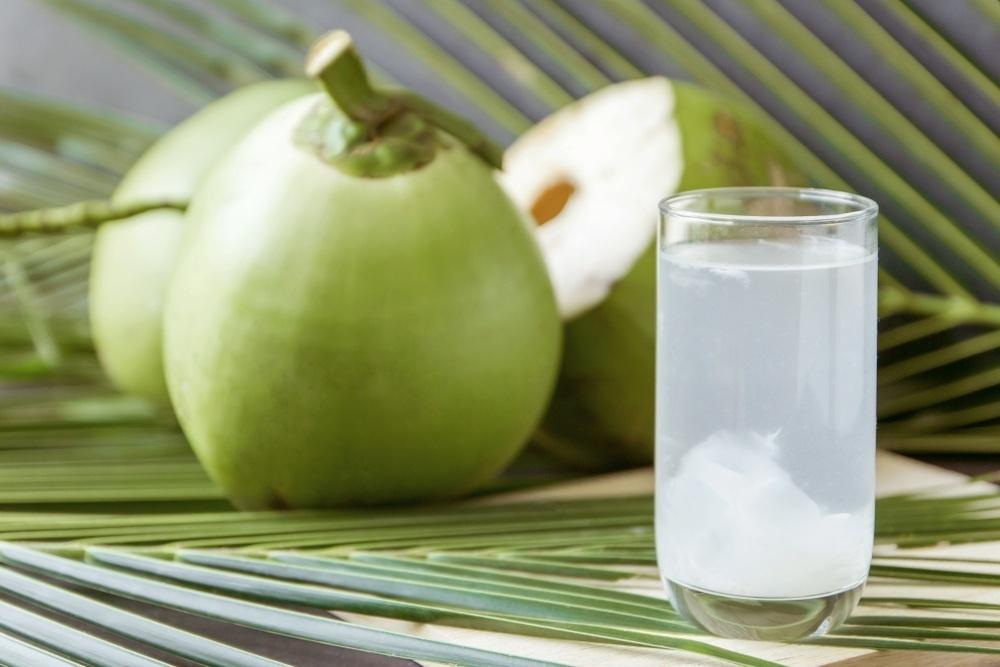 Uống nước dừa thay nước lọc mùa nắng nóng có được không? - ảnh 1