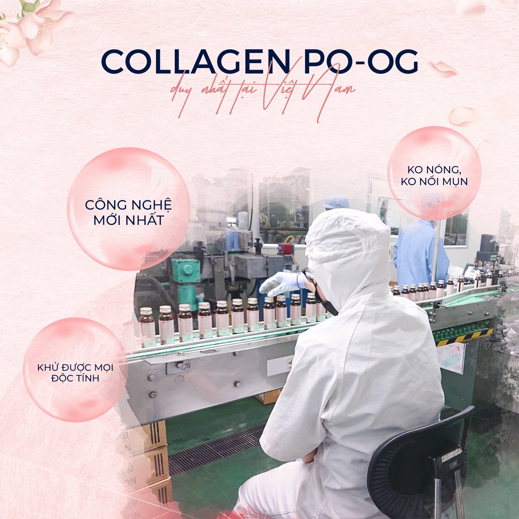 Phái đẹp tò mò về sự vượt trội của công nghệ collagen của Royal collagen 30.000 - ảnh 3