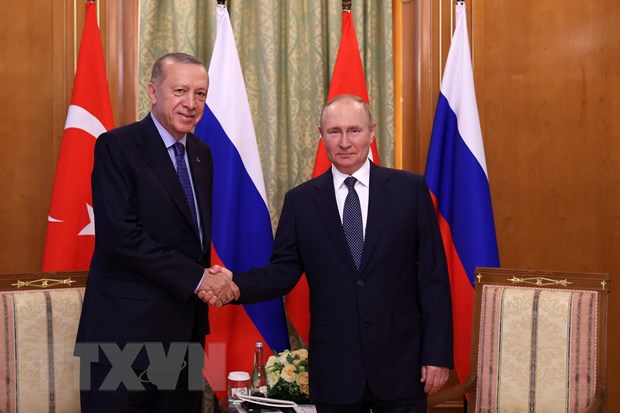 Thổ Nhĩ Kỳ sẽ thanh toán một phần tiền mua khí đốt của Nga bằng ruble - ảnh 1