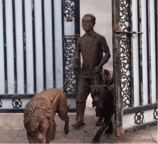 Người đàn ông dắt 3 chú chó đi dạo, khi quay về vợ không nhận ra mà phải thốt lên: ''Tác phẩm nghệ thuật này ở đâu ra?'' - ảnh 1