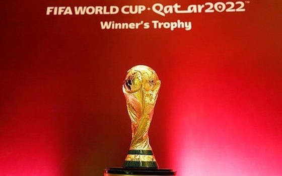 Chưa ngã ngũ việc mua bản quyền truyền hình World Cup 2022 - ảnh 1