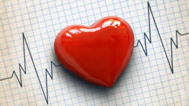 Phương pháp mới giúp hạ lipid máu, giảm nguy cơ mắc bệnh tim mạch - ảnh 1