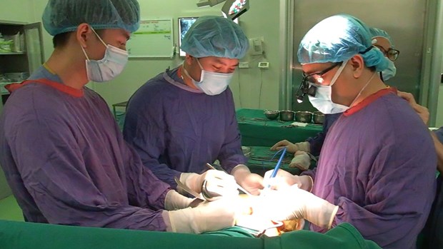 Các bác sỹ Việt Nam đã tiến hành hơn 6.500 ca ghép tạng trên toàn quốc - ảnh 1