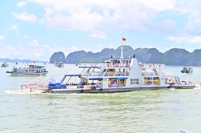 Đi giữa lòng di sản cùng chuyến phà biển đặc biệt nhất Việt Nam - ảnh 5