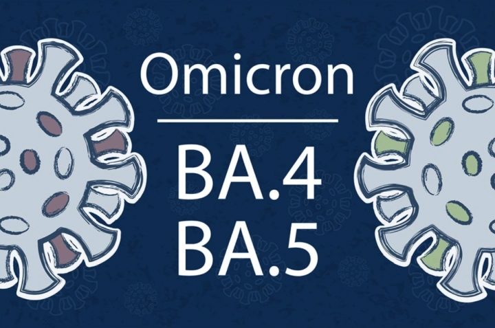 Biến thể phụ BA.4, BA.5 của chủng Omicron có nguy hiểm? - ảnh 2