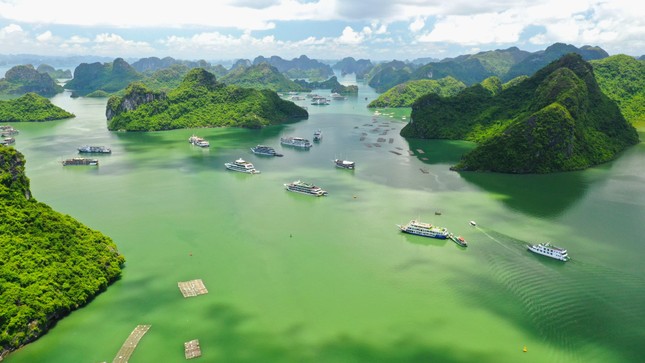 Đi giữa lòng di sản cùng chuyến phà biển đặc biệt nhất Việt Nam - ảnh 1