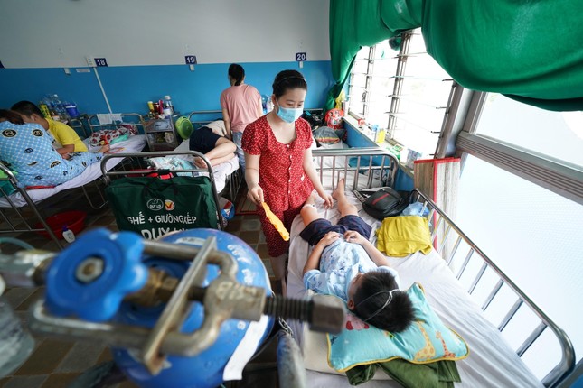 TPHCM: 17 người chết, mỗi tuần hơn 3.000 người mắc sốt xuất huyết - ảnh 1