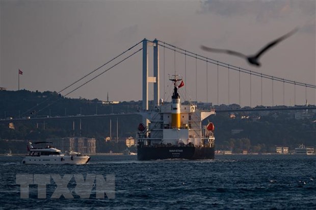 Thổ Nhĩ Kỳ thông báo các tàu chở ngũ cốc tiếp tục rời cảng Ukraine - ảnh 1