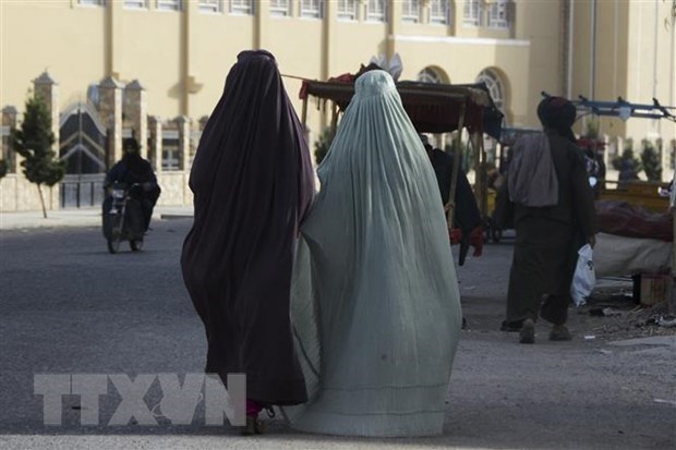 EU lo ngại tình hình ngày càng xấu đi của phụ nữ và bé gái Afghanistan - ảnh 1