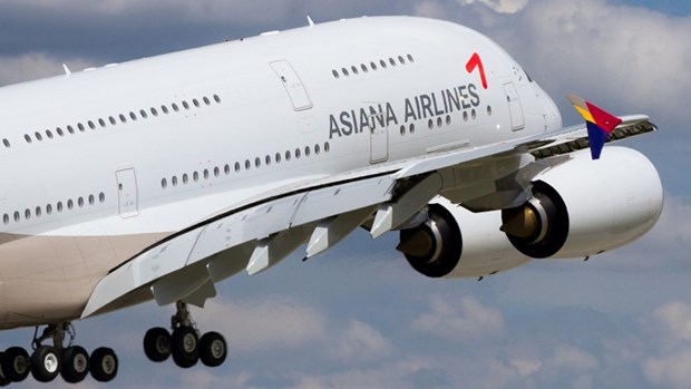 Hàng hàng không Asiana Airlines bị lỗ ròng do đồng USD mạnh - ảnh 1