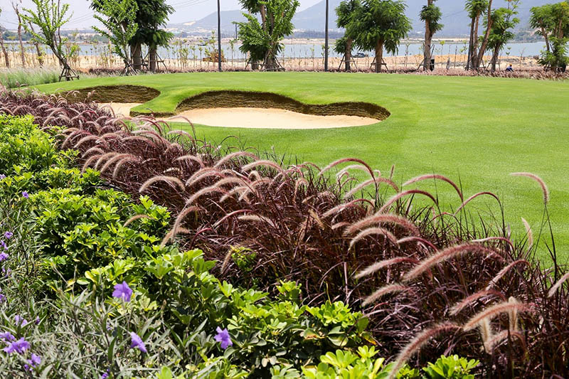 MerryLand Golf Club hội tụ mọi yếu tố của một sân golf đẳng cấp quốc tế - ảnh 3