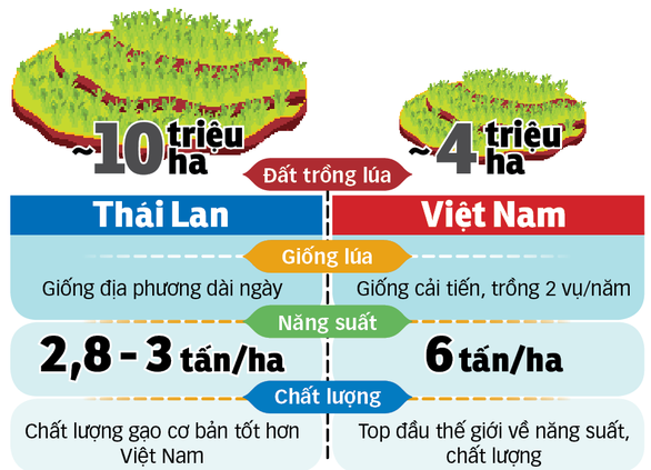 Việt Nam thua Thái Lan về giống nông sản? - ảnh 2