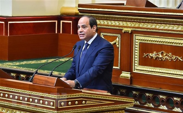 Ai Cập cải tổ nội các nhằm nâng cao hiệu suất hoạt động của chính phủ - ảnh 1