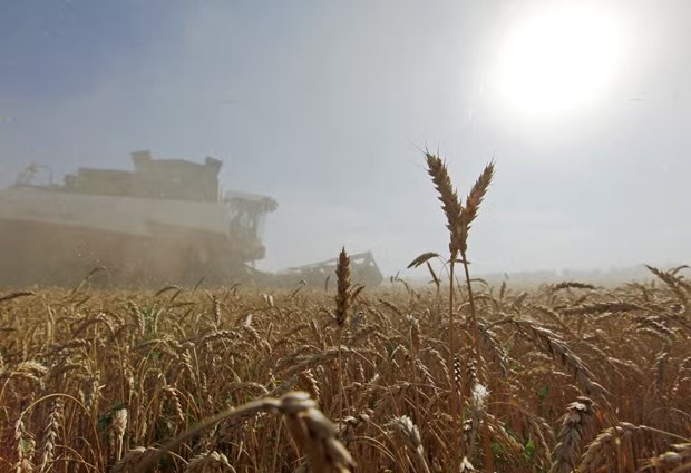 Công ty Bayer tiếp tục cung cấp sản phẩm nông nghiệp đầu vào cho Nga - ảnh 1