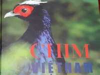 Quyết định tiêu hủy sách Chim Việt Nam - ảnh 3