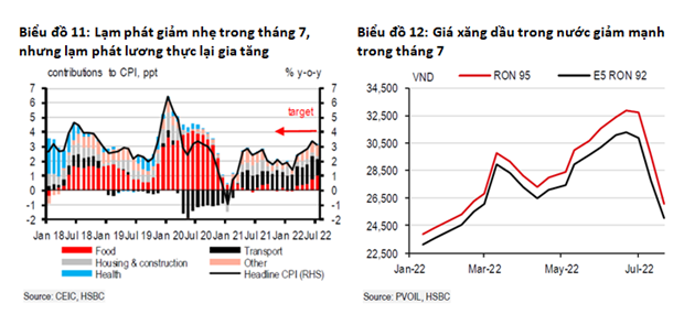 HSBC: Kinh tế Việt Nam thành công dù bức tranh bên ngoài ''kém sáng'' - ảnh 2