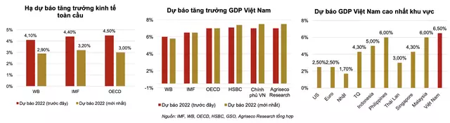 Agriseco Research: Tăng trưởng kinh tế là trụ đỡ cho chứng khoán Việt Nam trong thời gian tới - ảnh 1