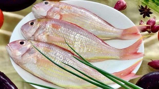 Cá rất ngon bổ nhưng có 4 loại không nên ăn vì chứa hàm lượng thủy ngân cao, dễ gây ngộ độc và ung thư - ảnh 1