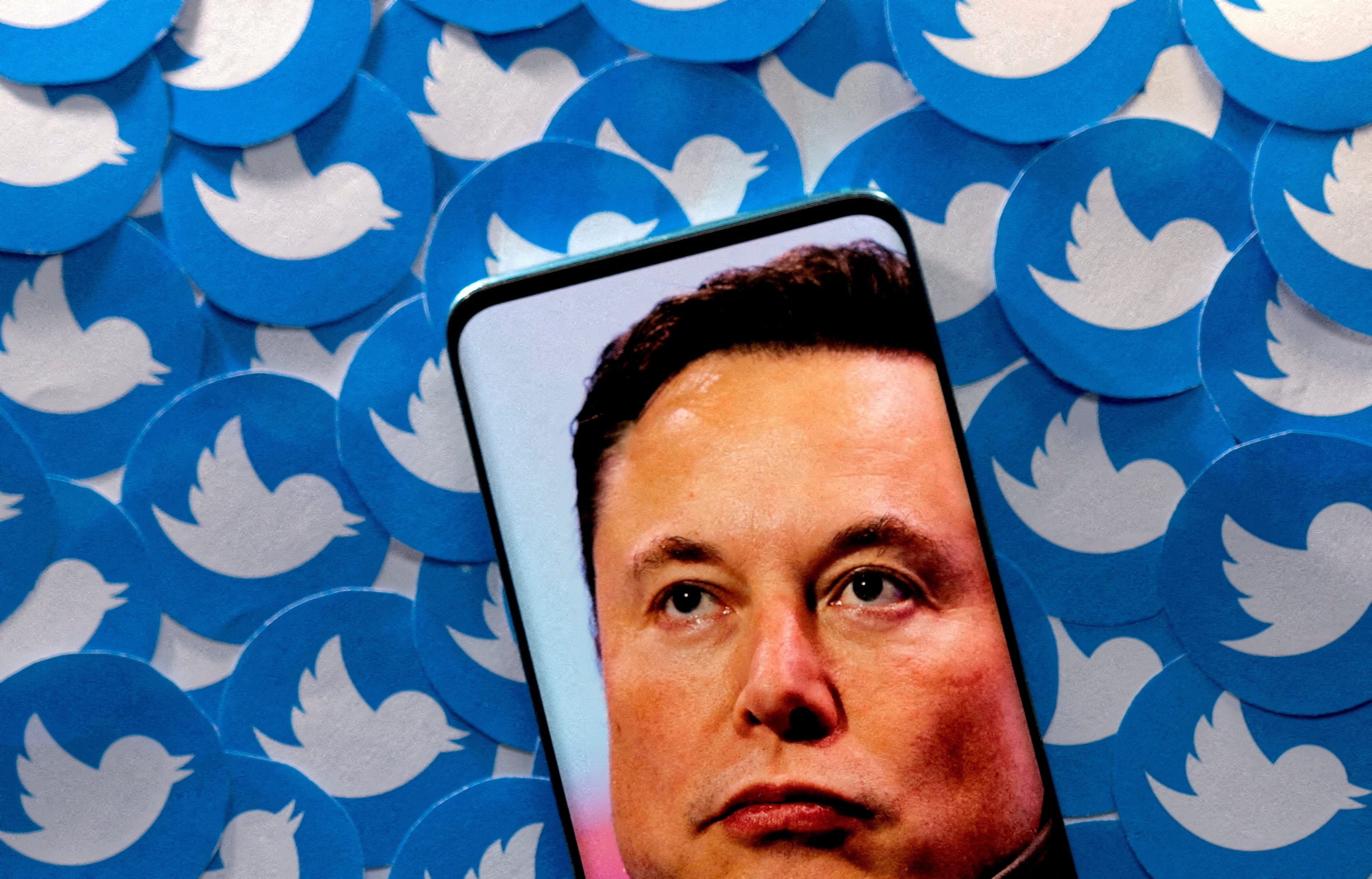 Nhân viên Twitter nghỉ việc hàng loạt vì bất mãn với Elon Musk - ảnh 2