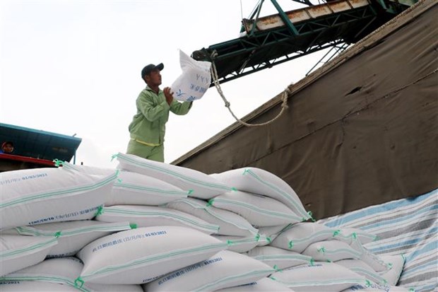 Nhận định cơ hội tăng trưởng mới cho xuất khẩu gạo Việt Nam - ảnh 2