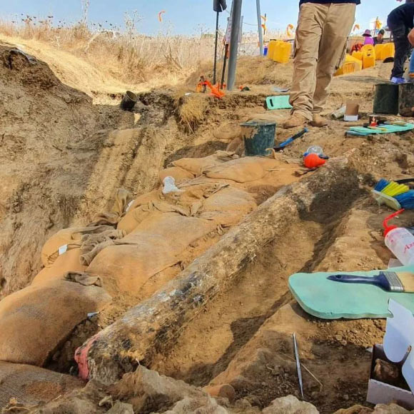 Các nhà khảo cổ học Israel tìm thấy ngà của một loài voi khổng lồ 500.000 năm tuổi - ảnh 1