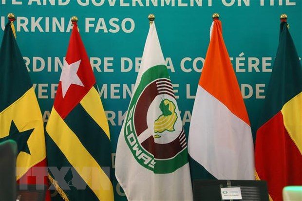 ECOWAS nhất trí áp đặt trừng phạt chính quyền quân sự Guinea - ảnh 1
