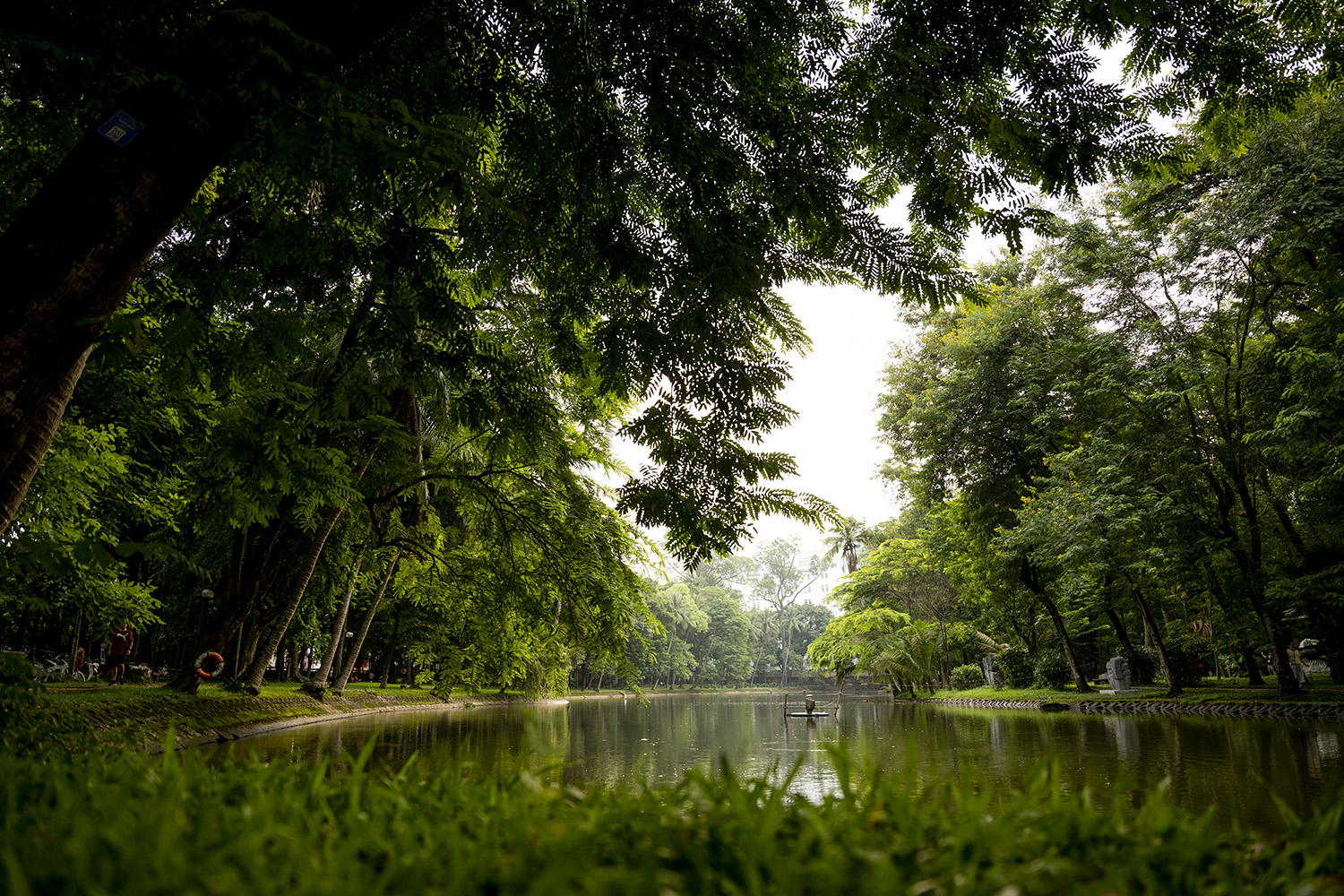 Đón bình minh trong “rừng xanh” giữa lòng Hà Nội - ảnh 8