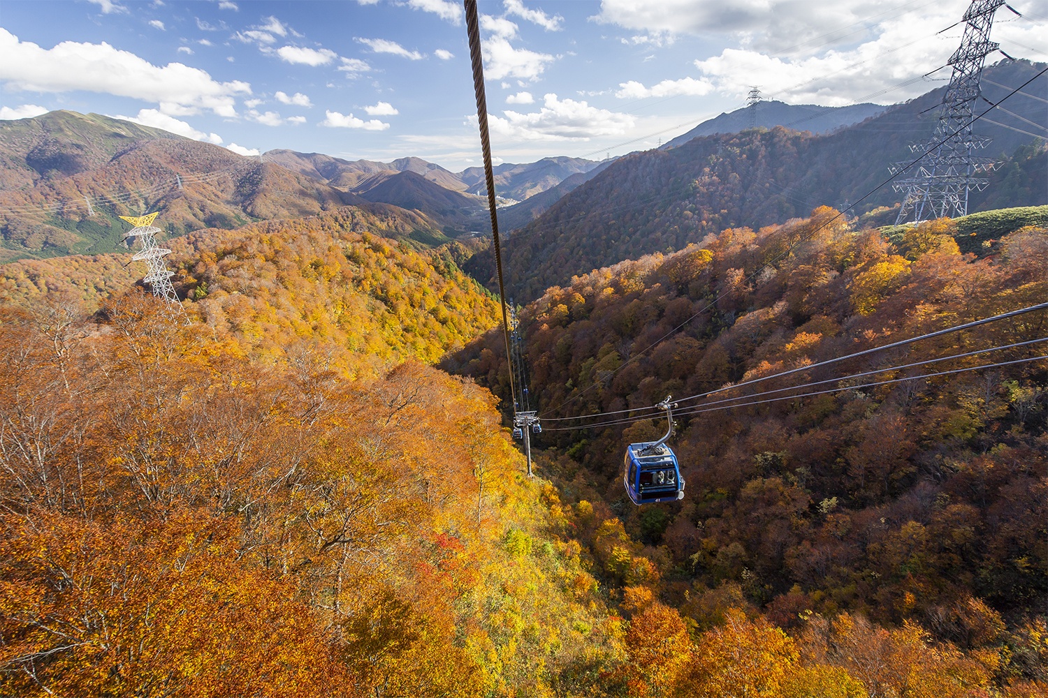 Ngắm rừng cây lá đỏ từ cáp treo dài nhất Nhật Bản - ảnh 2