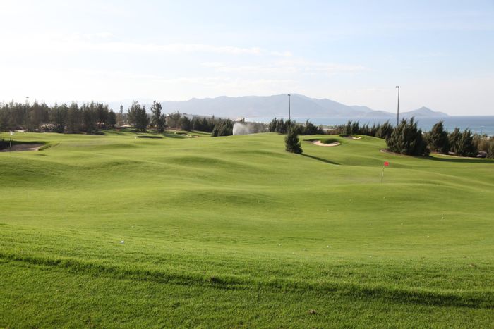 Phú Yên muốn chuyển đất trồng lúa kém hiệu quả sang làm sân golf - ảnh 2