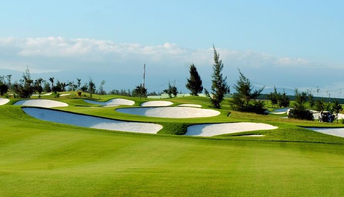 Phú Yên muốn chuyển đất trồng lúa kém hiệu quả sang làm sân golf - ảnh 1