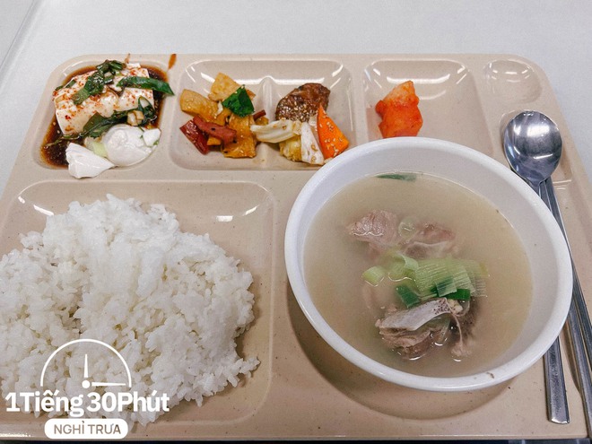 Nhân viên ở Hàn Quốc tiết lộ sự thật bữa cơm trưa tại công ty: 