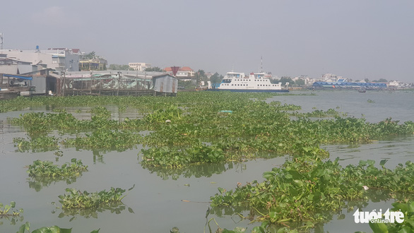 Các đập thủy điện Mekong xả nước, dự báo mùa lũ 2022 ở miền Tây sẽ giảm - ảnh 1