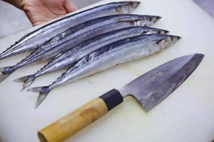 Loại cá Nhật Bản quý như 'vàng cho não' nhưng nhiều người không thích - ảnh 1