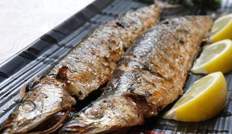 Loại cá Nhật Bản quý như 'vàng cho não' nhưng nhiều người không thích - ảnh 4